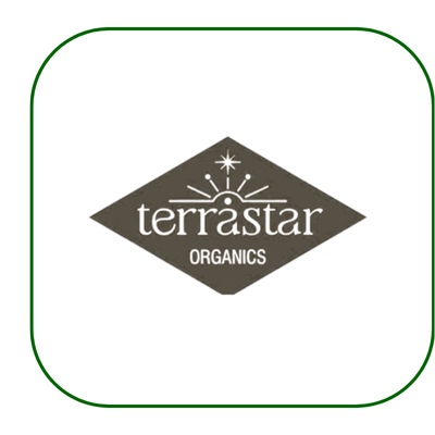 terrastar logo