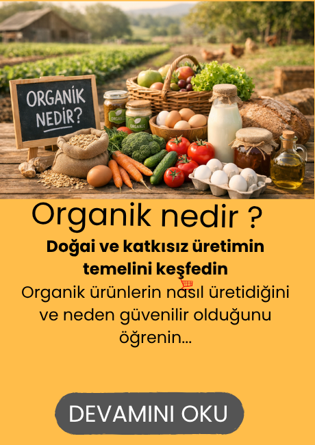 great (460 x 280 piksel) (460 x 160 piksel) (460 x 360 piksel) (460 x 760 piksel) (460 x 650 piksel)